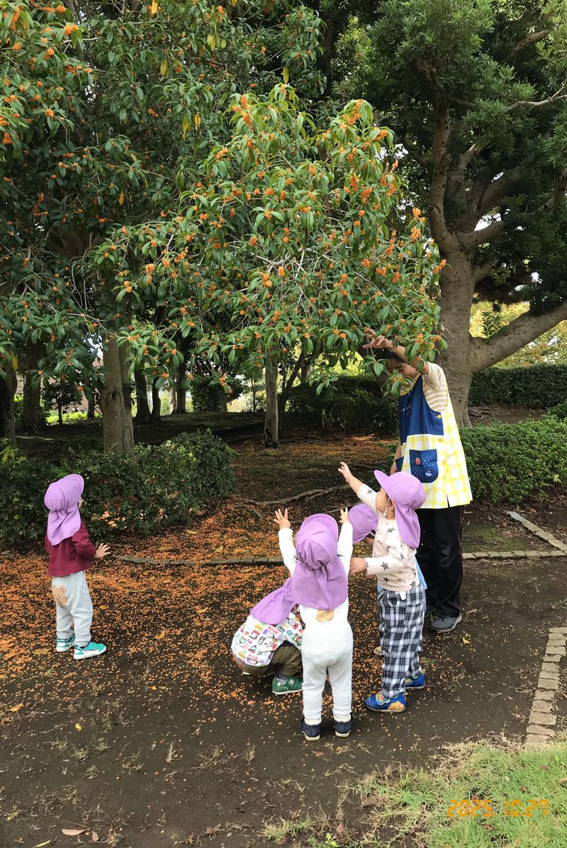 社会福祉法人 藤雪会　保育園小さなほし(認可保育園)のアルバイト・バイト求人情報-02