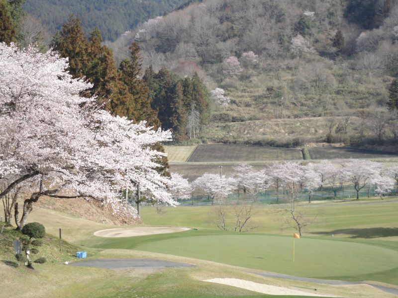 岐阜本巣カントリークラブの派遣求人情報