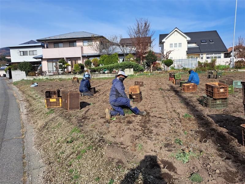 横田農園のアルバイト・バイト求人情報-02