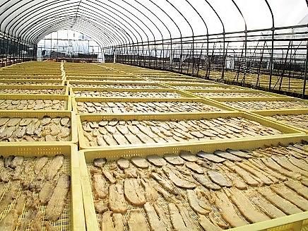 株式会社住谷商店の求人情報