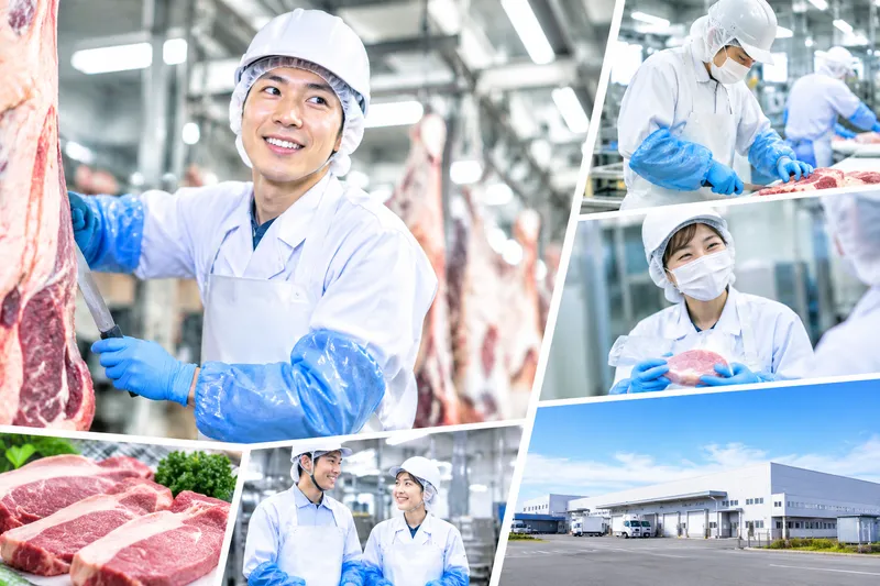 株式会社HMS　宮城野区扇町/食肉工場