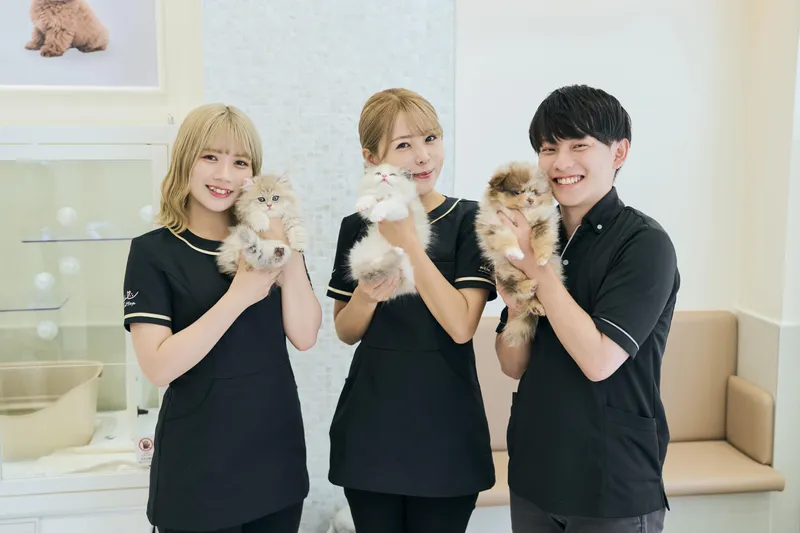 株式会社Cattleyaの求人・転職情報