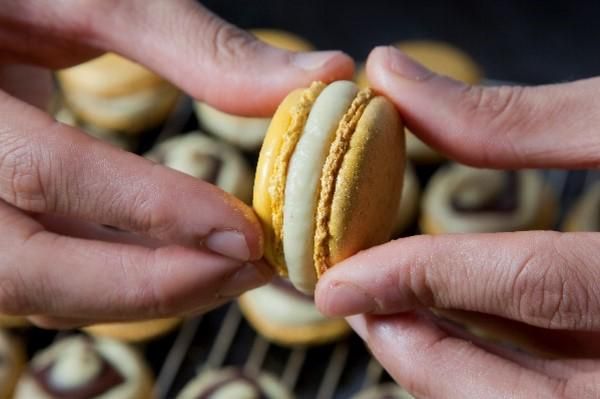 ＰＨ　ＰＡＲＩＳ　ＪＡＰＯＮ株式会社-0005の求人・転職情報