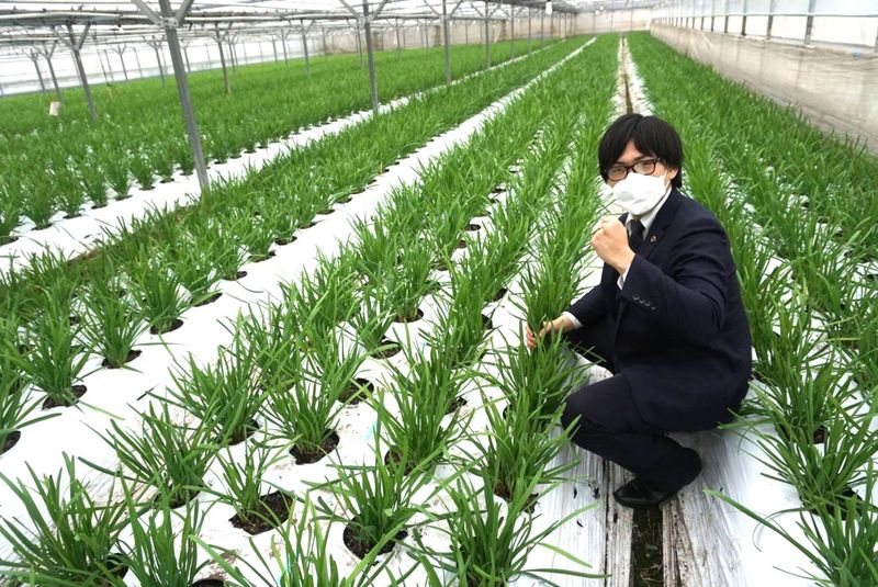 株式会社　武蔵野種苗園