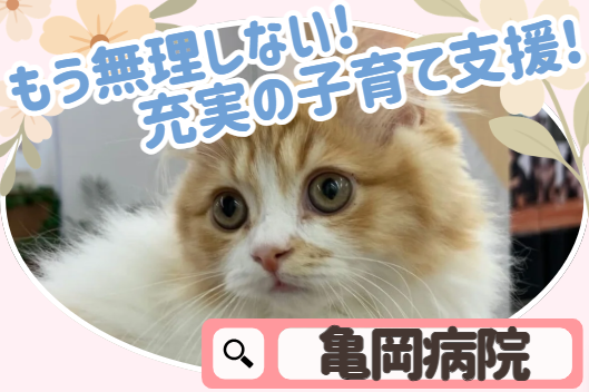 医療法人亀岡病院の求人・転職情報
