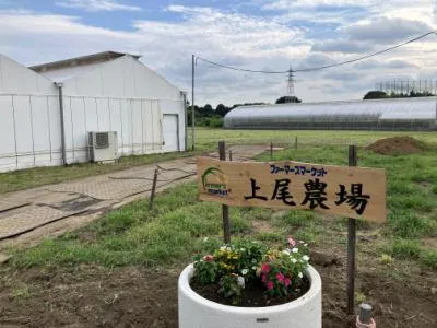 株式会社ＳｙｎＸの求人・転職情報
