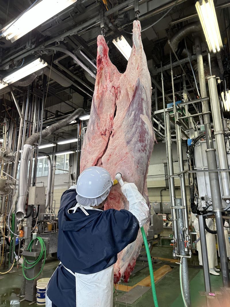 広島食肉市場株式会社のアルバイト・バイト求人情報-02