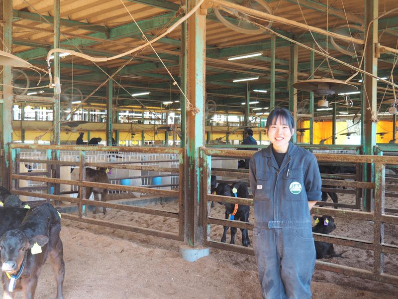 株式会社ジェイイーティファーム