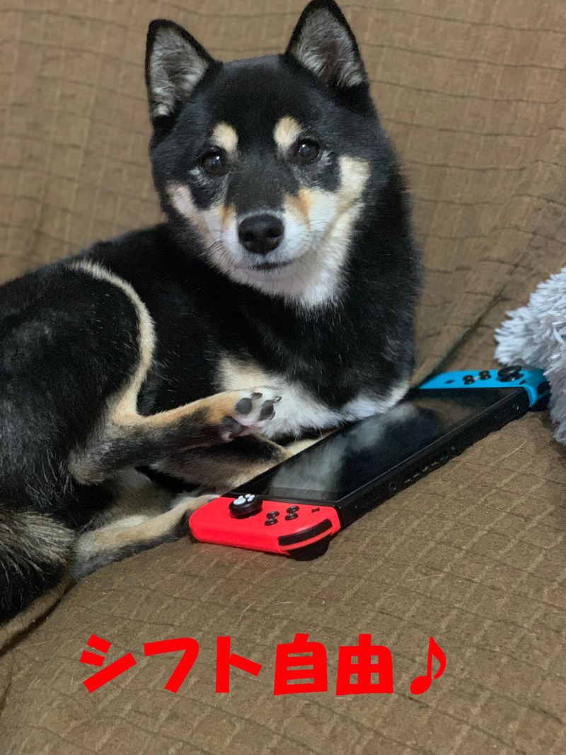 株式会社東和コーポレーション湘南営業所【鴨居】のアルバイト・バイト求人情報-04