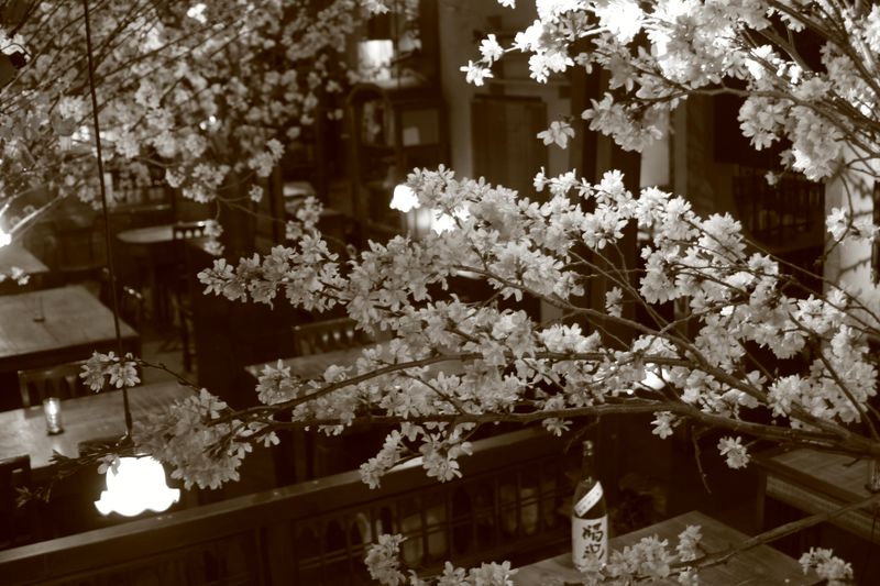 有限会社福笑-0002の求人・転職情報