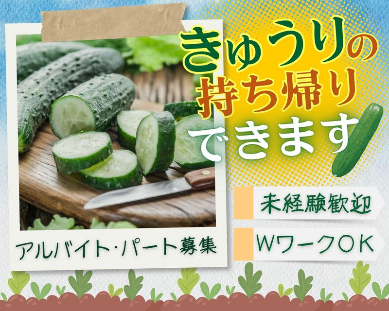 ぐんぐんファームの派遣求人情報
