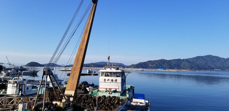 音戸海産有限会社のアルバイト・バイト求人情報-02