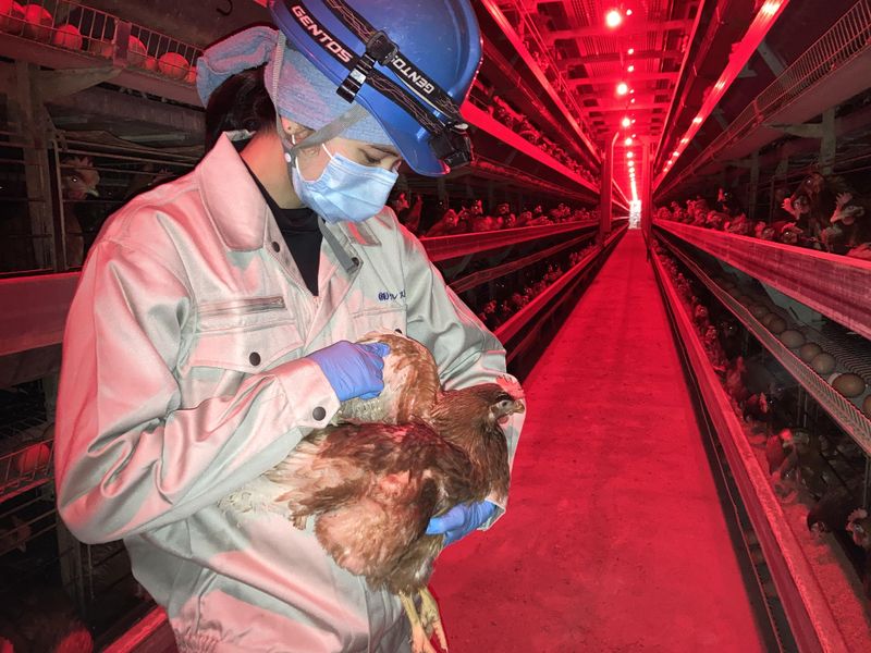 株式会社クレスト