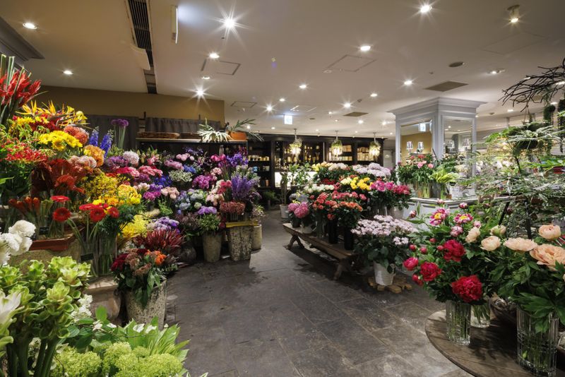 株式会社ゴトウ花店の求人・転職情報