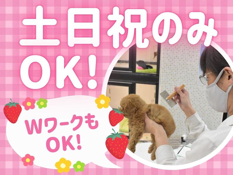 ワンラブ(ONELOVE)イオンタウン長崎長与店のアルバイト・バイト求人情報-03