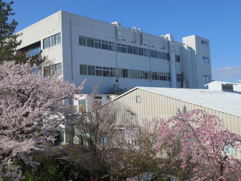 ビシェイポリテック株式会社の求人・転職情報