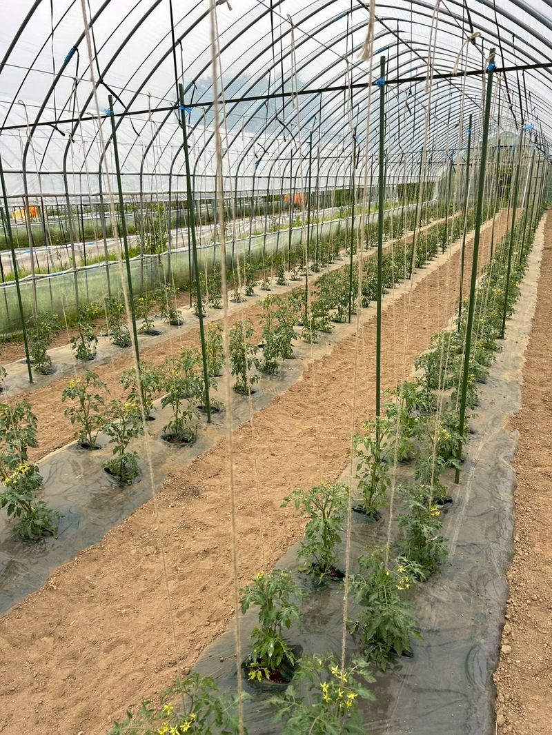 オキ・ファームのアルバイト・バイト求人情報-03