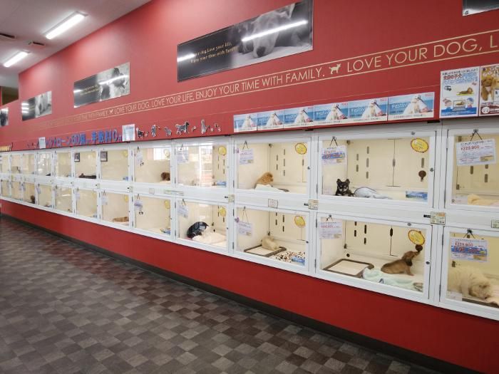 犬の家　MEGAドン・キホーテ東海名和店(株式会社犬の家)のアルバイト・バイト求人情報-05