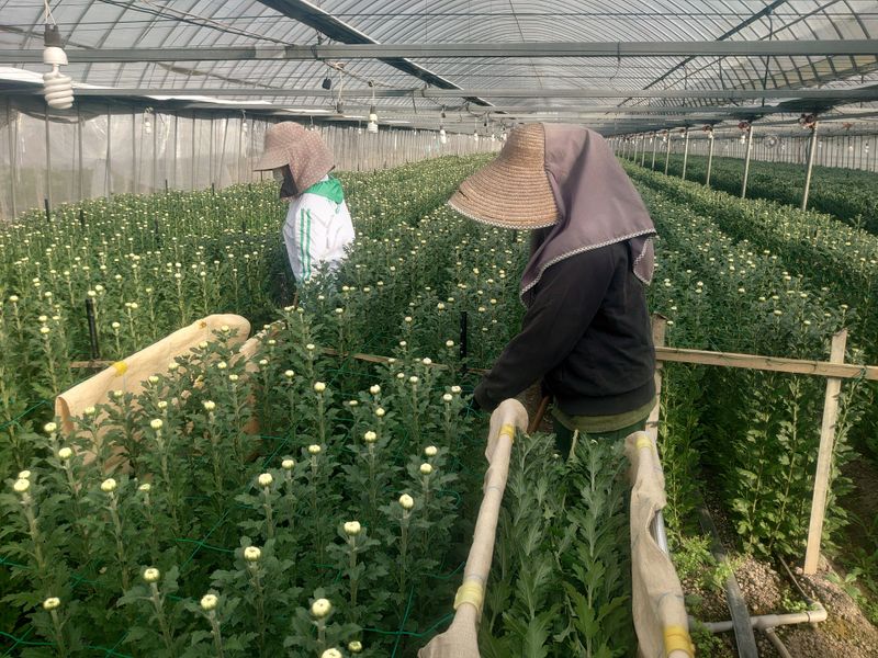 ペルプラント株式会社の求人・転職情報-04