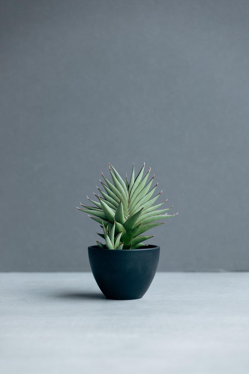 株式会社松竹園のアルバイト・バイト求人情報-04