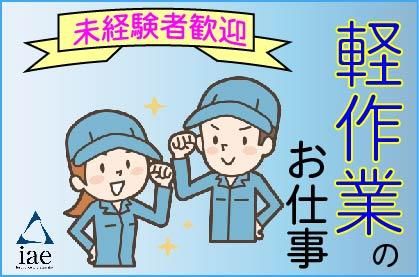 株式会社アイエーイー