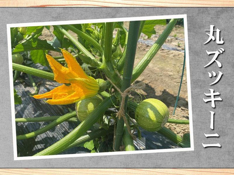 有限会社つま敬の求人・転職情報