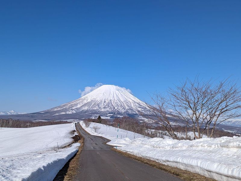 勤務地の求人情報