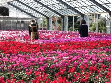 株式会社斉藤農場のアルバイト・バイト求人情報