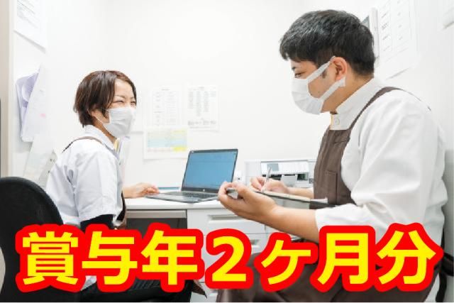 シップヘルスケアフード株式会社の求人・転職情報
