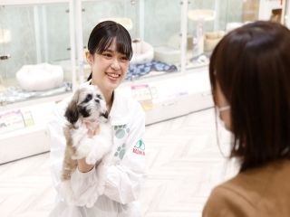 ペットの専門店コジマ　目黒店のアルバイト・バイト求人情報-02