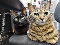 株式会社ジャパンペットセレモニーのアルバイト・バイト求人情報-04