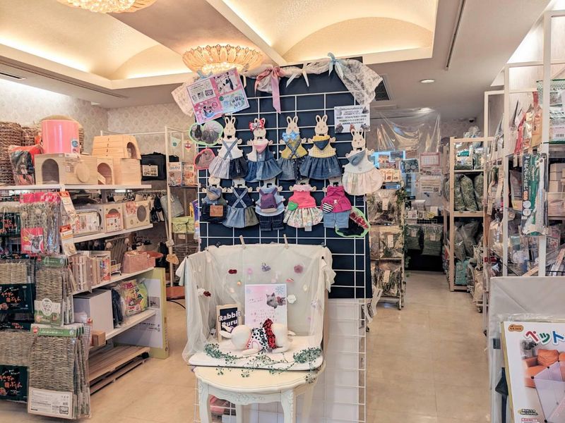 うさぎ専門店　Rabbit-Ruru　和泉府中本店のアルバイト・バイト求人情報-04