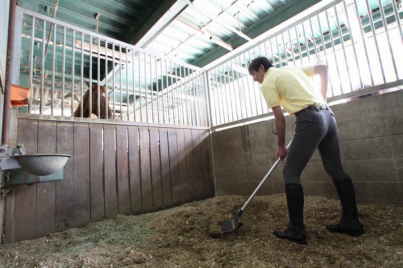 乗馬クラブ クレイン栃木の求人情報