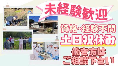 たなか土日祝休み様 専用たなか土日祝休 様専用 たなか土日祝休み
