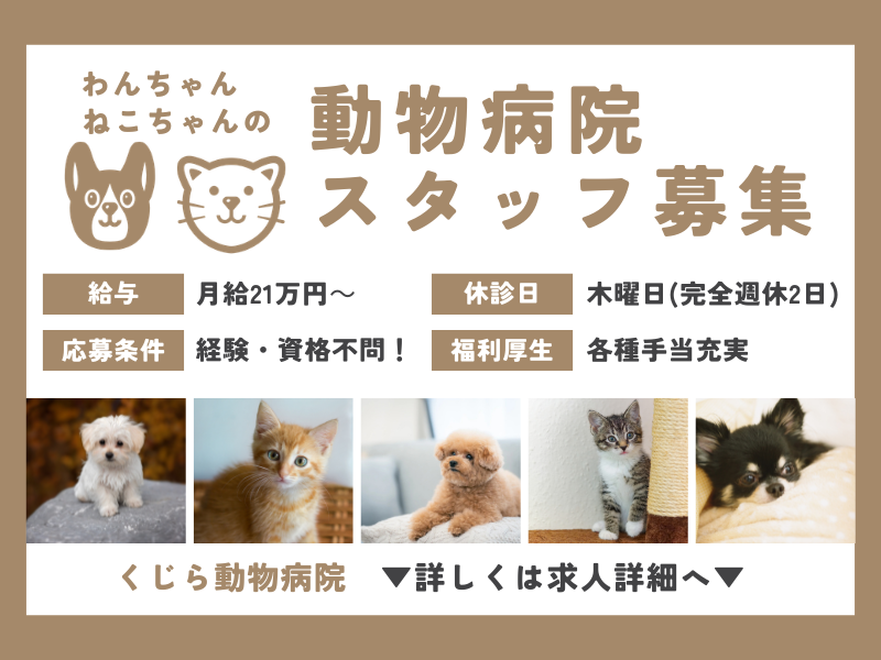 株式会社Ｋ＆Ｔの求人・転職情報