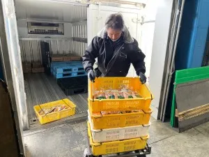 有限会社シバタ冷食の求人・転職情報