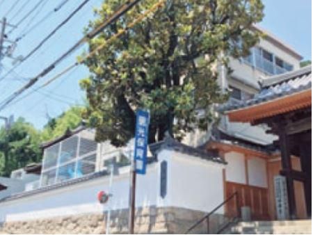 社会福祉法人　見真会の求人・転職情報