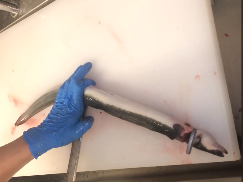 鰻まいもん　焼き一生のアルバイト・バイト求人情報-04