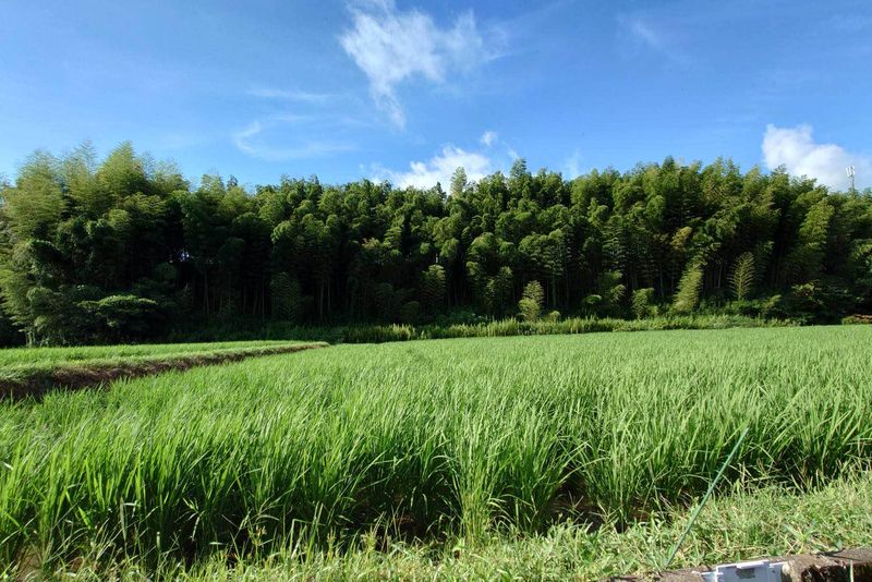 株式会社松尾米穀店の求人・転職情報