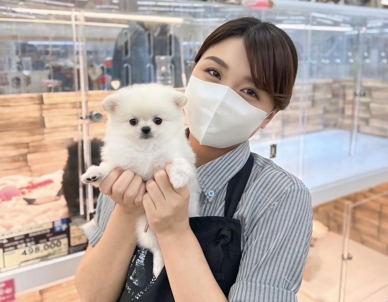 スーパービバホーム長久手店のアルバイト・バイト求人情報-04