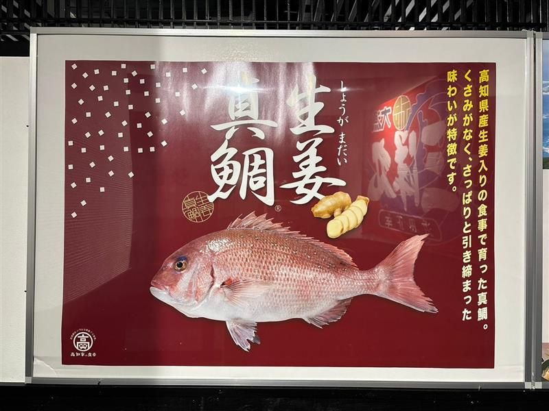 ＩＧエンターテイメント合同会社の求人・転職情報