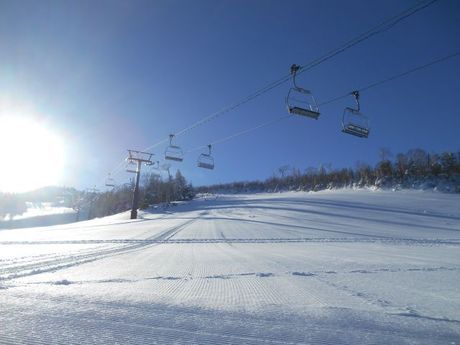 株式会社ヒューマニック