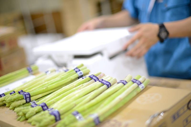 石橋青果株式会社のアルバイト・バイト求人情報-07