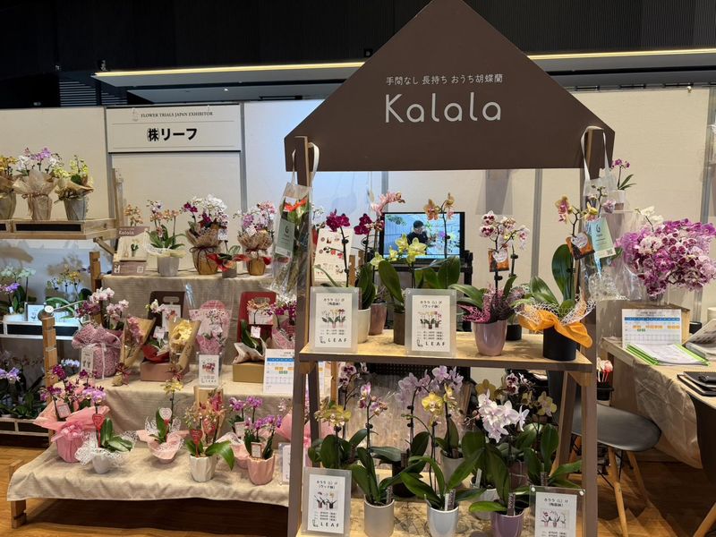 株式会社リーフのアルバイト・バイト求人情報-04