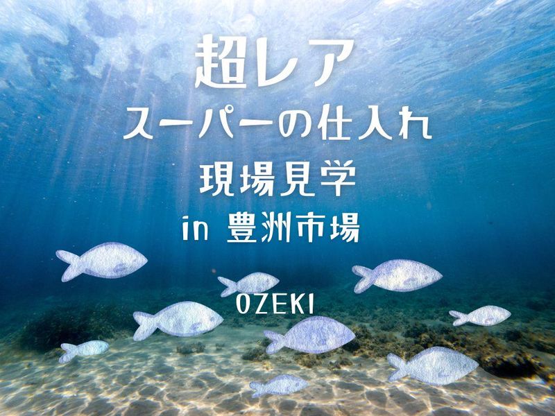 プロの視点を体感|豊洲市場の裏側見学&美味しい昼食・試食付