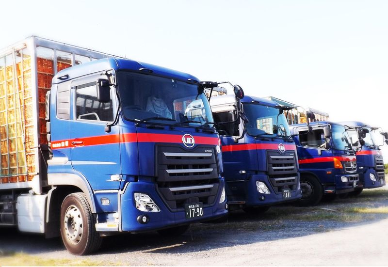 株式会社山坂-0009の求人・転職情報