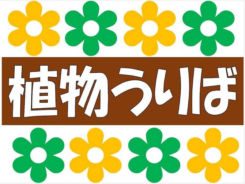 株式会社ジョブ九州の派遣求人情報