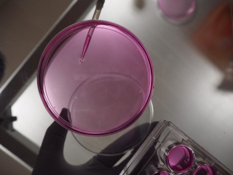 STEMCELL株式会社のアルバイト・バイト求人情報-04