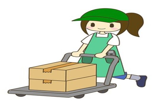 キャリーオンヒューマン株式会社