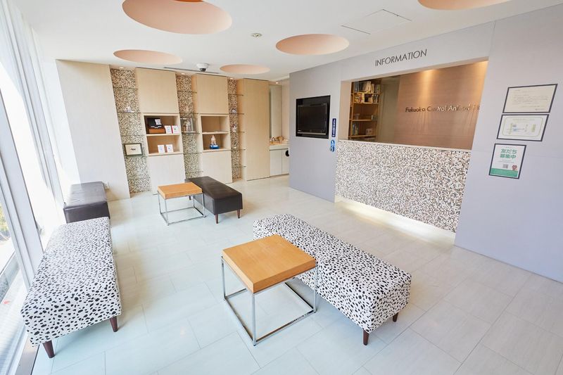 有限会社福岡中央動物病院の求人・転職情報